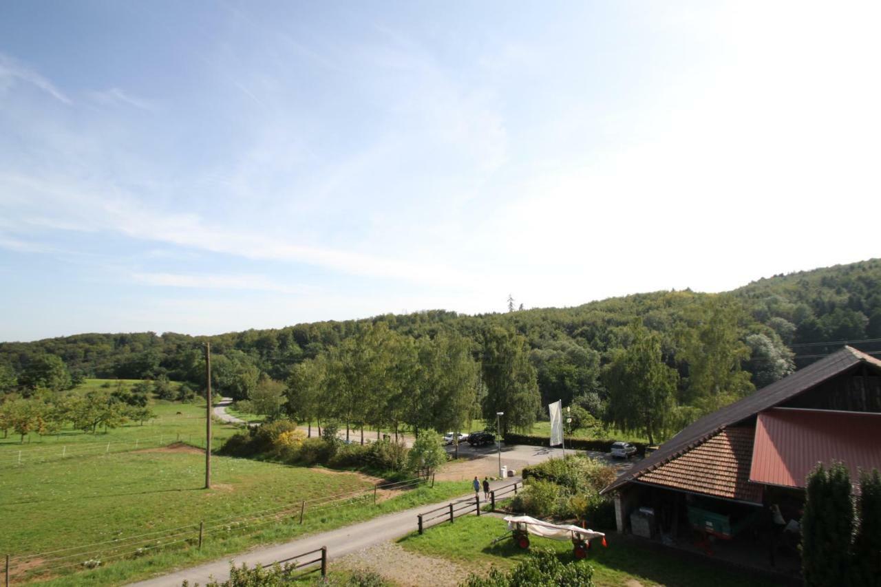 Ferienwohnung Edelbrenner Rimbach  Екстер'єр фото